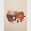 cevilionfox